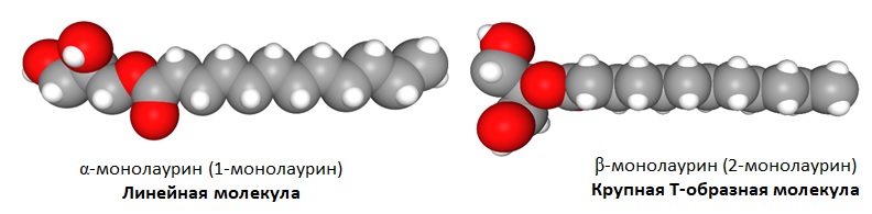 молекула монолаурина