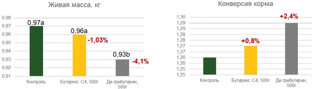 Бутирекс С4 результат 1-21день