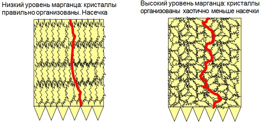 Влияние Марганца на скорлупу