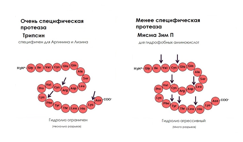 2 рисунок