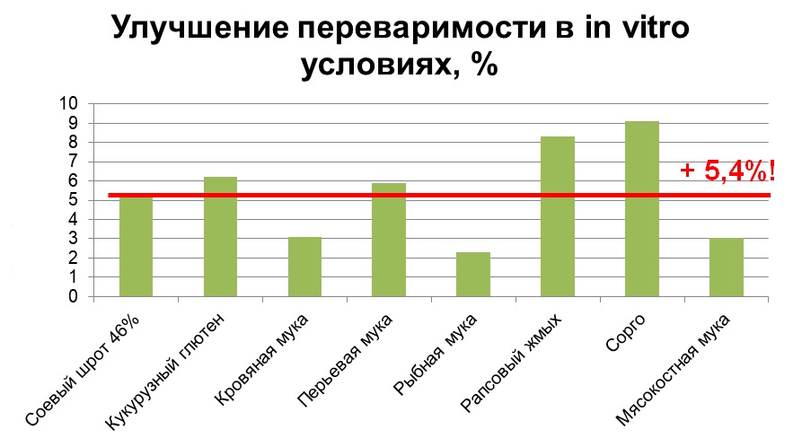 6 рисунок.jpg