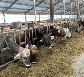 Визит Menon в РФ