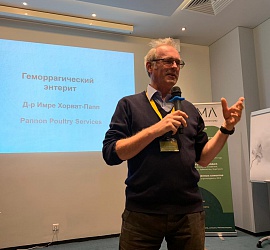 Семинар по индейке