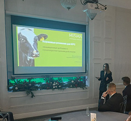 Подведение итогов сотрудничества 2022 с партнерами из Мисма Про_6