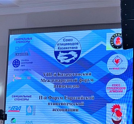 Казахстан 2019