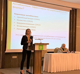 Казахстан 2019