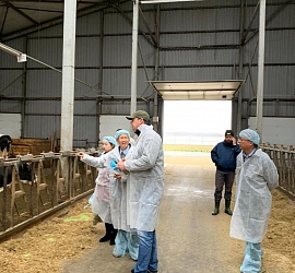 Визит Menon в РФ